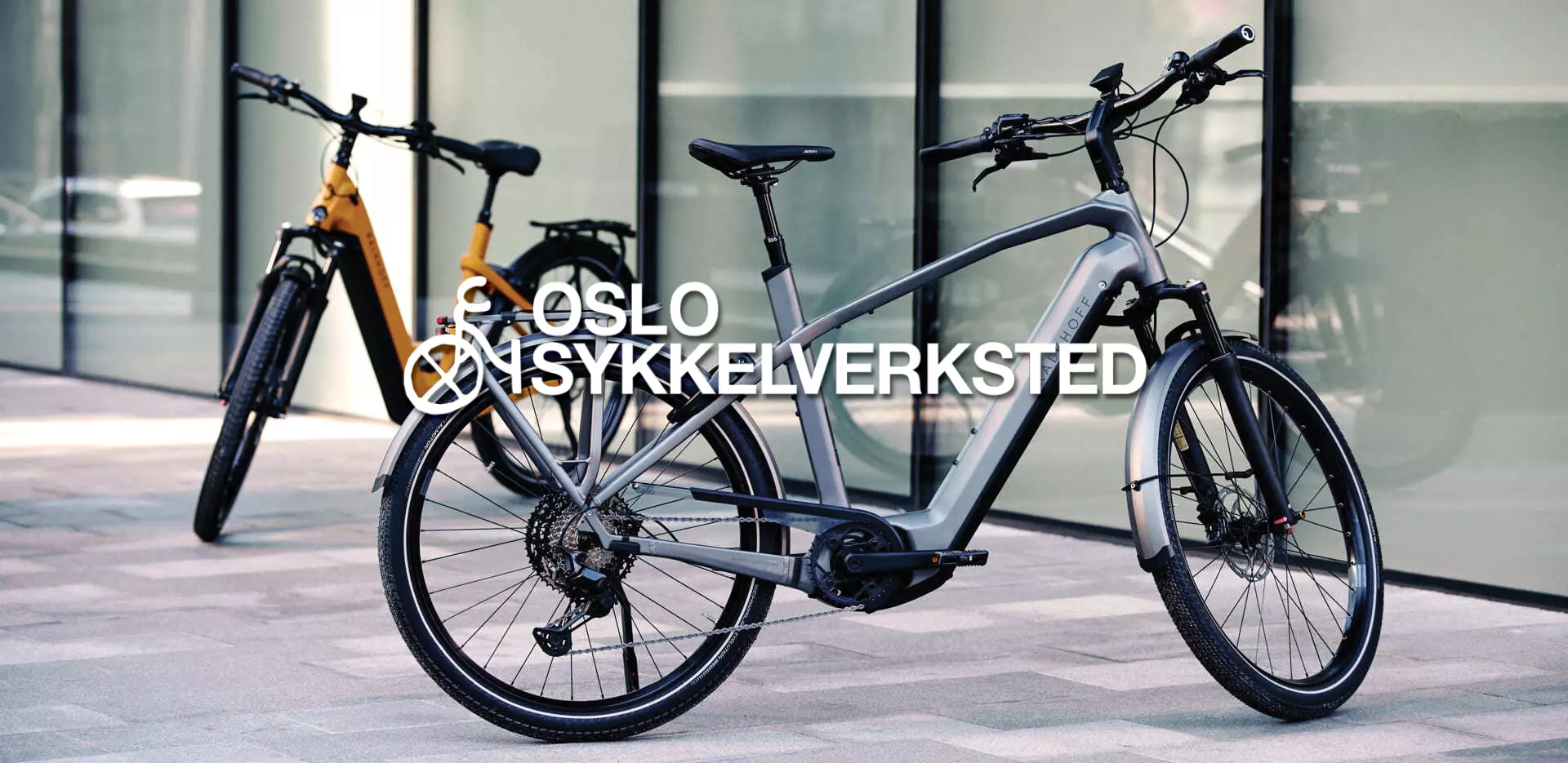 Bike shop in Oslo,